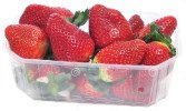 Bandeja de Fresas