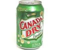 Canada Dry Ginger 354ml